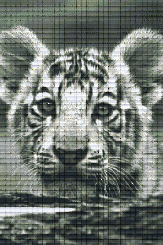 Baby Tiger Thirty [30] Baseplate PixelHobby Mini-mosaic Art Kit